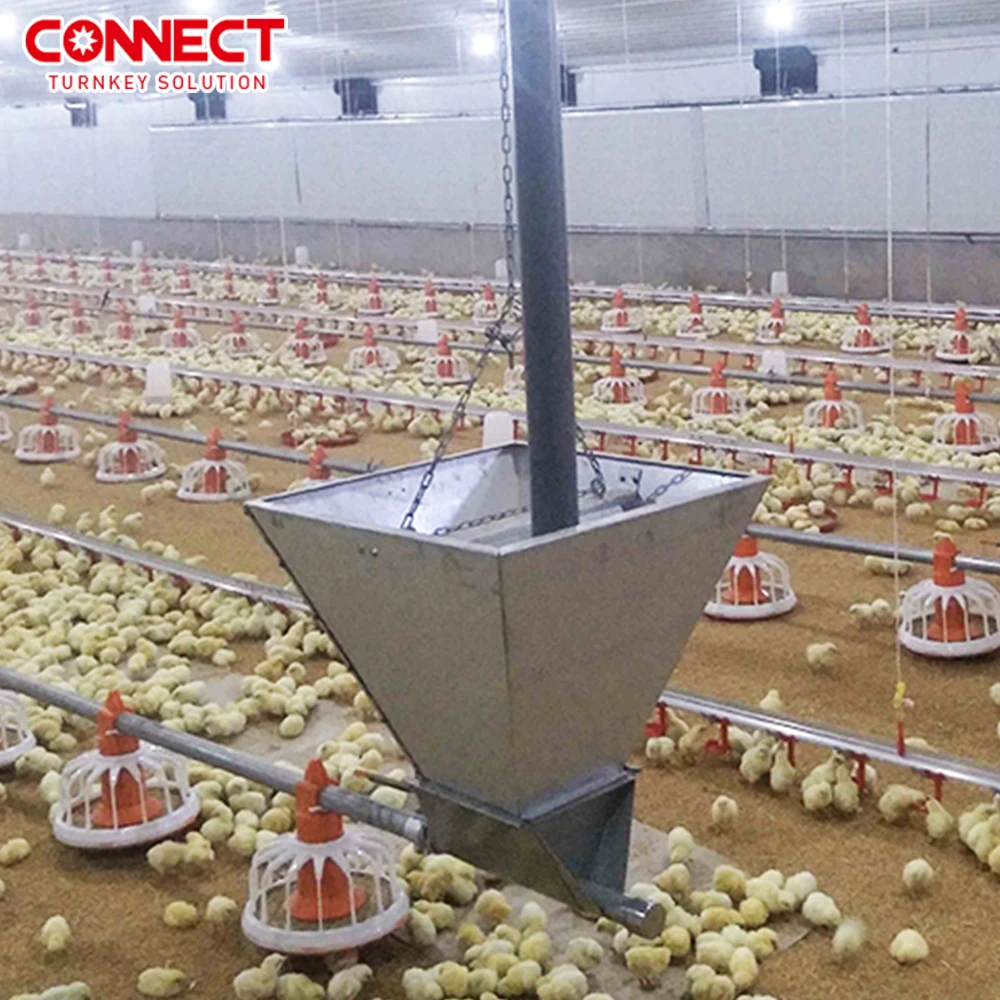 50000 Poultry Complete Set Broilers Shed Automatic House Feeding Husbandry Plant Equipment Chicken Farm Line System Machine