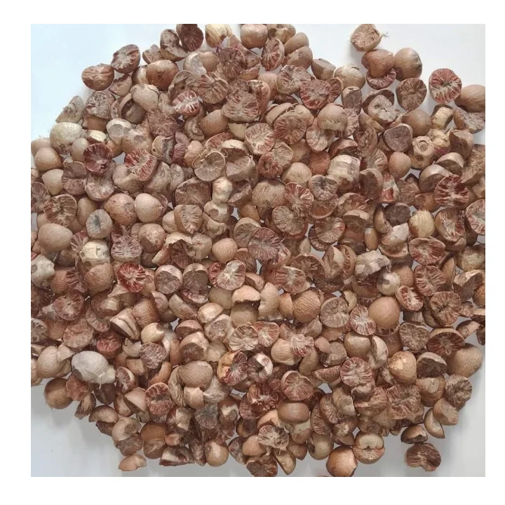 100 % Natural Export Quality Brown Color Dried Betel Nut Premium Grade Factory Price Best Selling Areca Whole Betel Nut