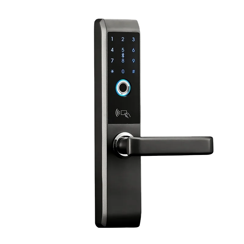 Fingerprint door lock with emergency key and card, code unlock method