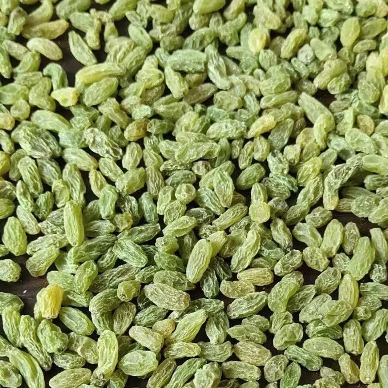 Wholesale Great Quality Dry Green Raisins Dried Fruits