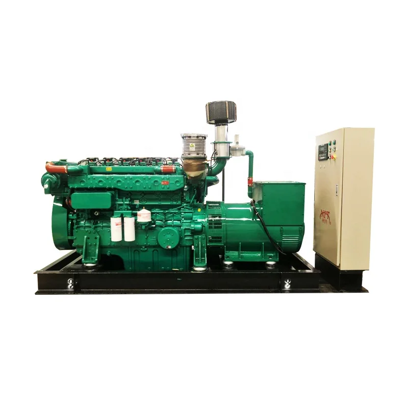 200 kW 250 kva 50/60 Hz plant biogas genset generator set
