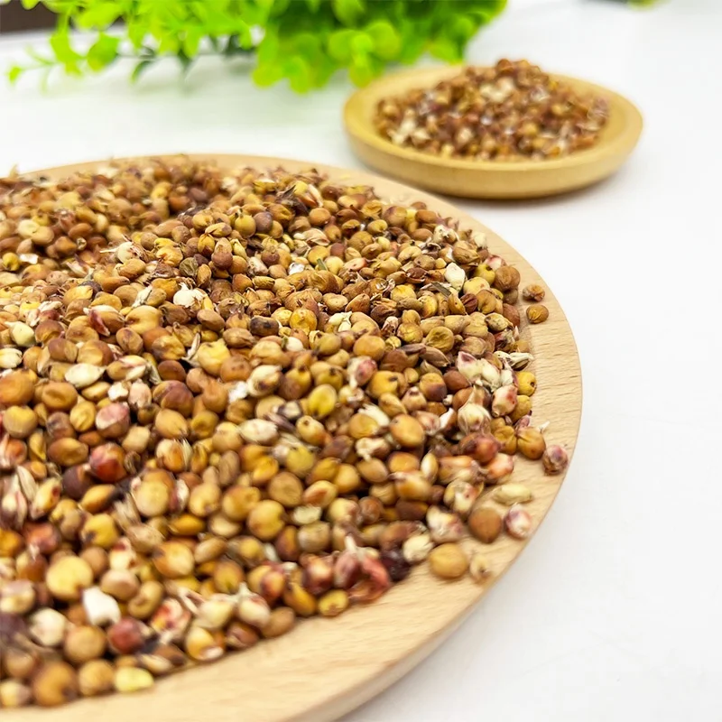 Good price High quality Professional manufacturer supply Bulk Sorghum Grains for Birds Food