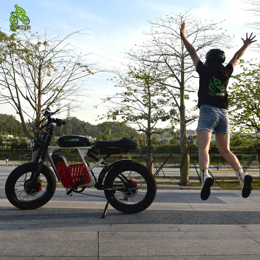 YQEBIKES Free Shipping Super Suspension Inverted Fork 3000W 40Ah Dual Drive Double Battery Fat City Mountain MTB E Bike Bicycle