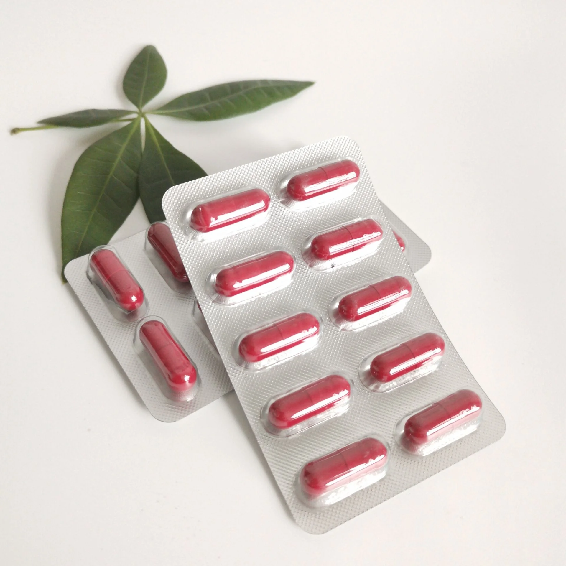 Blister Package Herbal Supplement Horny Goat Weed Epimedium Capsules For Men Health