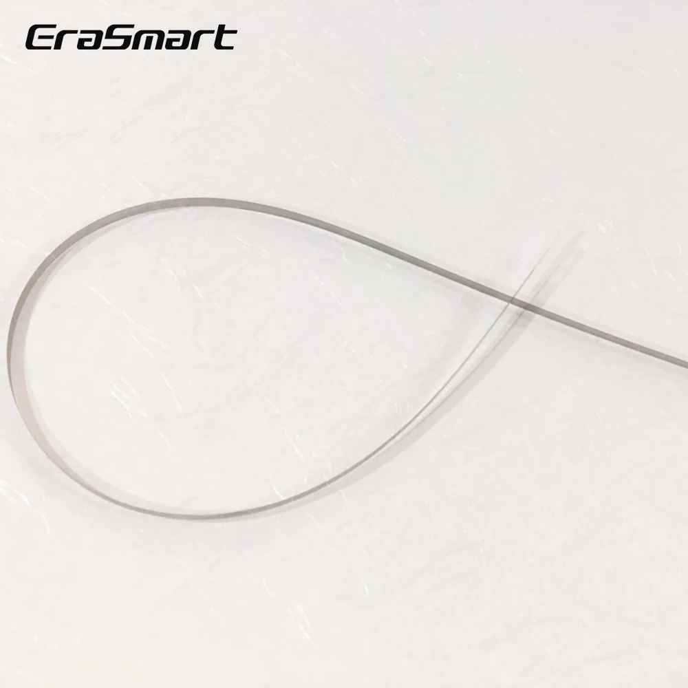 Erasmart New Arrivals Printing Machinery Parts A3 A4 1390 DTF Printer Raster Strip Encoder Strip Grating Strip
