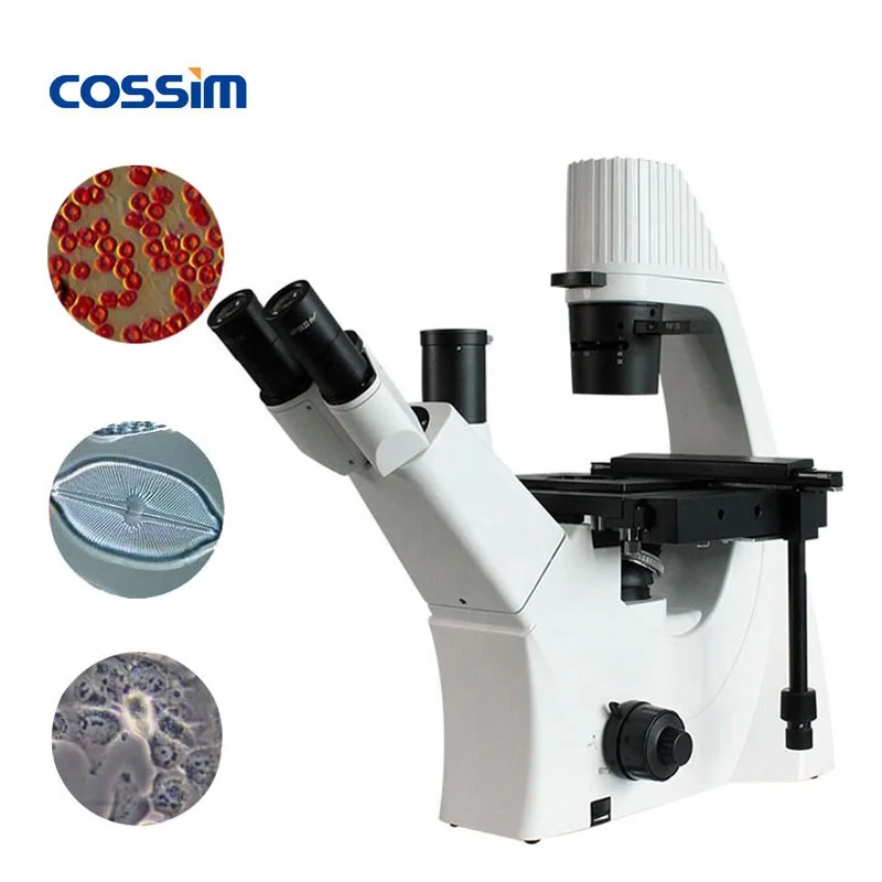 100X-400X Trinocular Phase Contrast Inverted Biological Microscope
