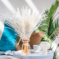 free sample Pampas Grass bouquet dried flower For wedding decoration Home decoration decorative flowers & wreaths