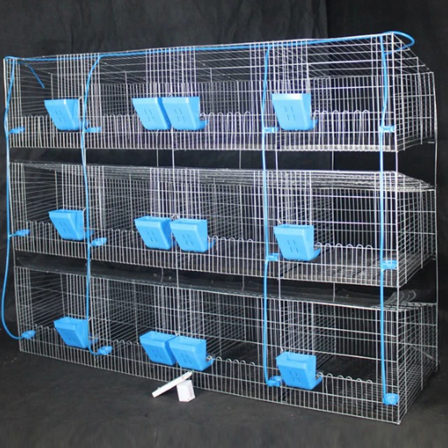 Rabbit Cage 1.jpg