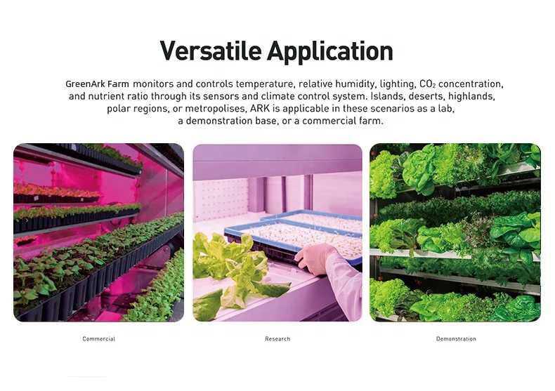 Sprinkler System For Farm Rockwool Blanket Grow Box Led Indoor Hydroponic System For Commercial Lettuce Planting