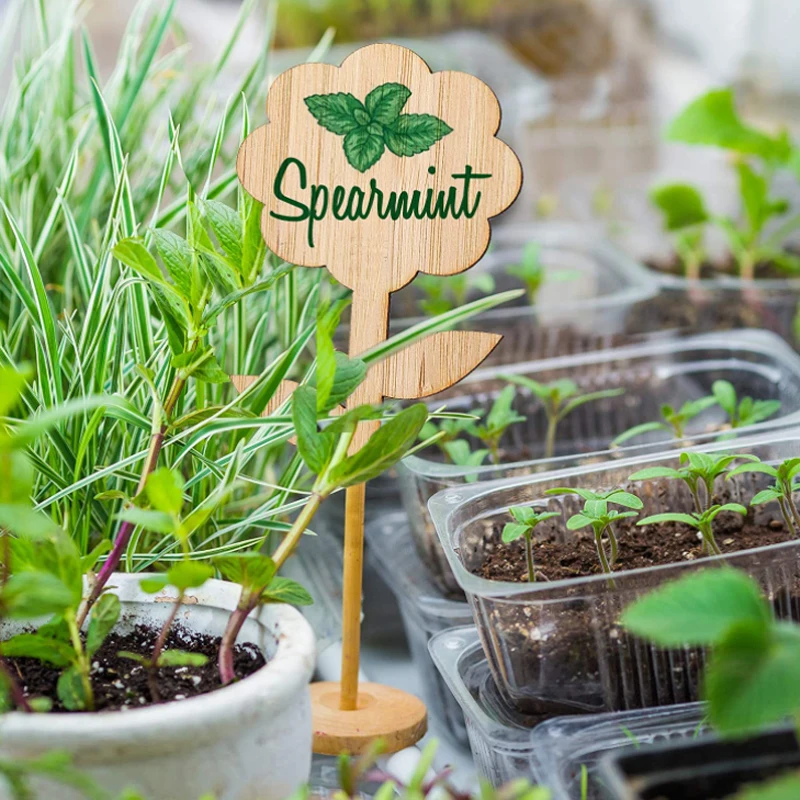 Garden Plant T-type Tags Markers Nursery Pots Garden Decoration Seedling Tray Plant Labels Bamboo Mark Tools