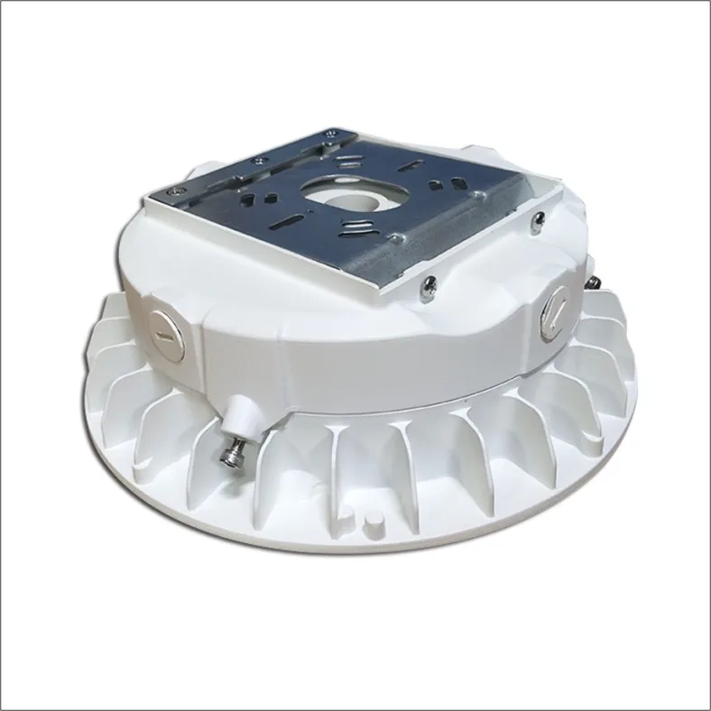 Canopy Led Light Driver 60W Led Canopy Light