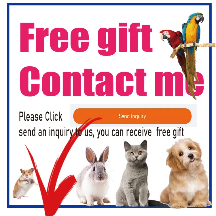 Mini Desktop Fish Tank Aquarium Ecological Creative Small Acrylic Fish Tank With Clear Lid Filter Pump And LED Light Decorations