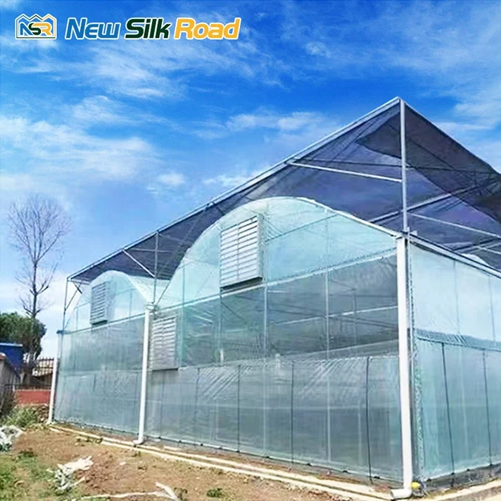 Large Economical China Plastic Vegetable Greenhouse Tunnel Single Layer Agricultural Product with PE and Plastic Film Cover