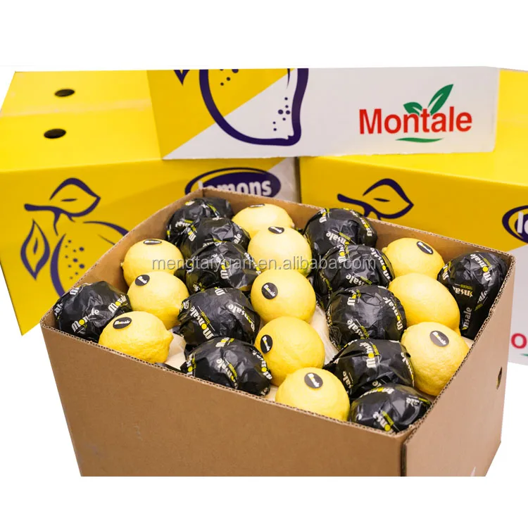 Top Quality Eurak New Season fresh organic fresh lemon