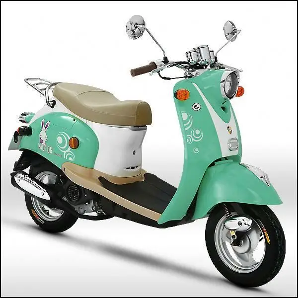 
Полностью автоматический скутер Znen 50cc с газовым мопедом-Snail 