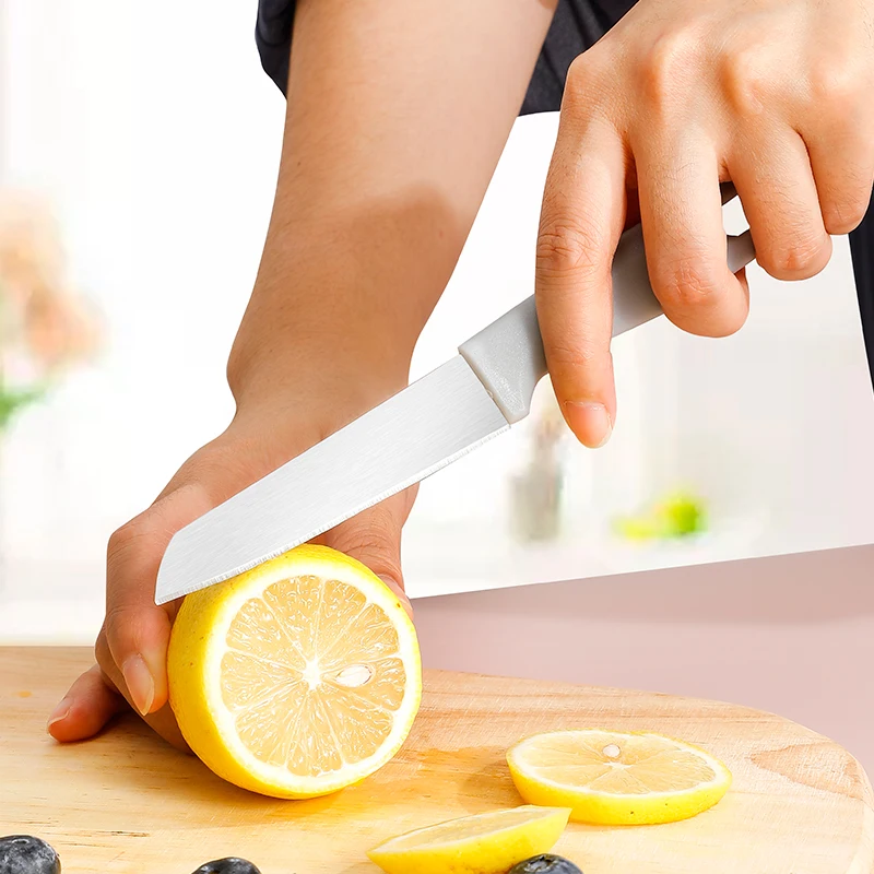 Hot-selling Colorful Handle Stainless Steel Fruit Paring Knife with Plastic Handle