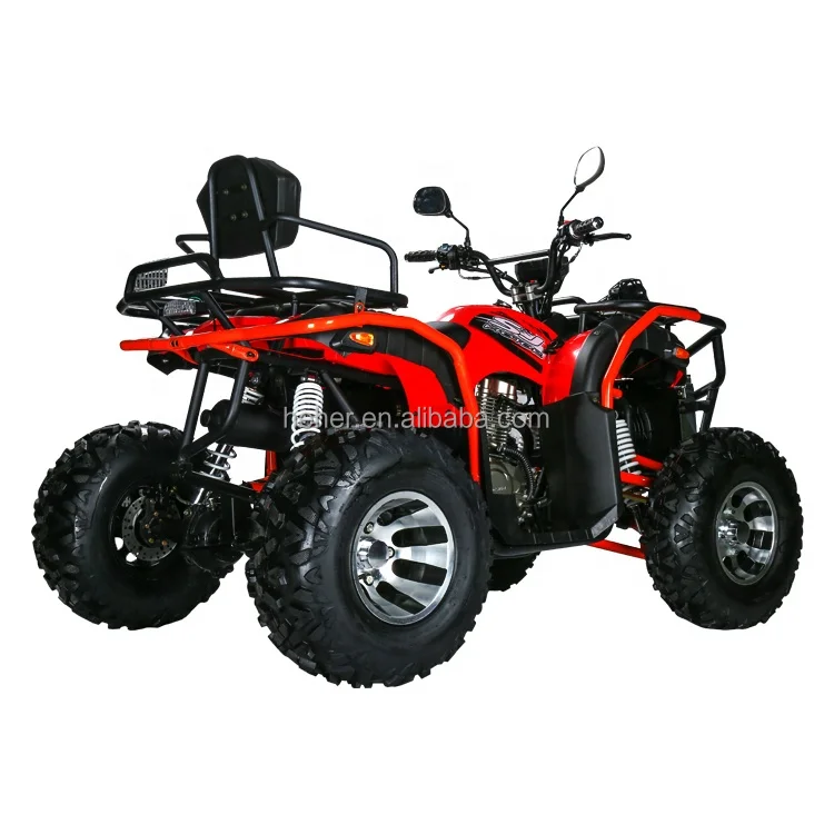 Adult off-road buggy 250cc utility vehicle