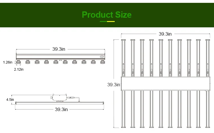 DK102A_02.jpg