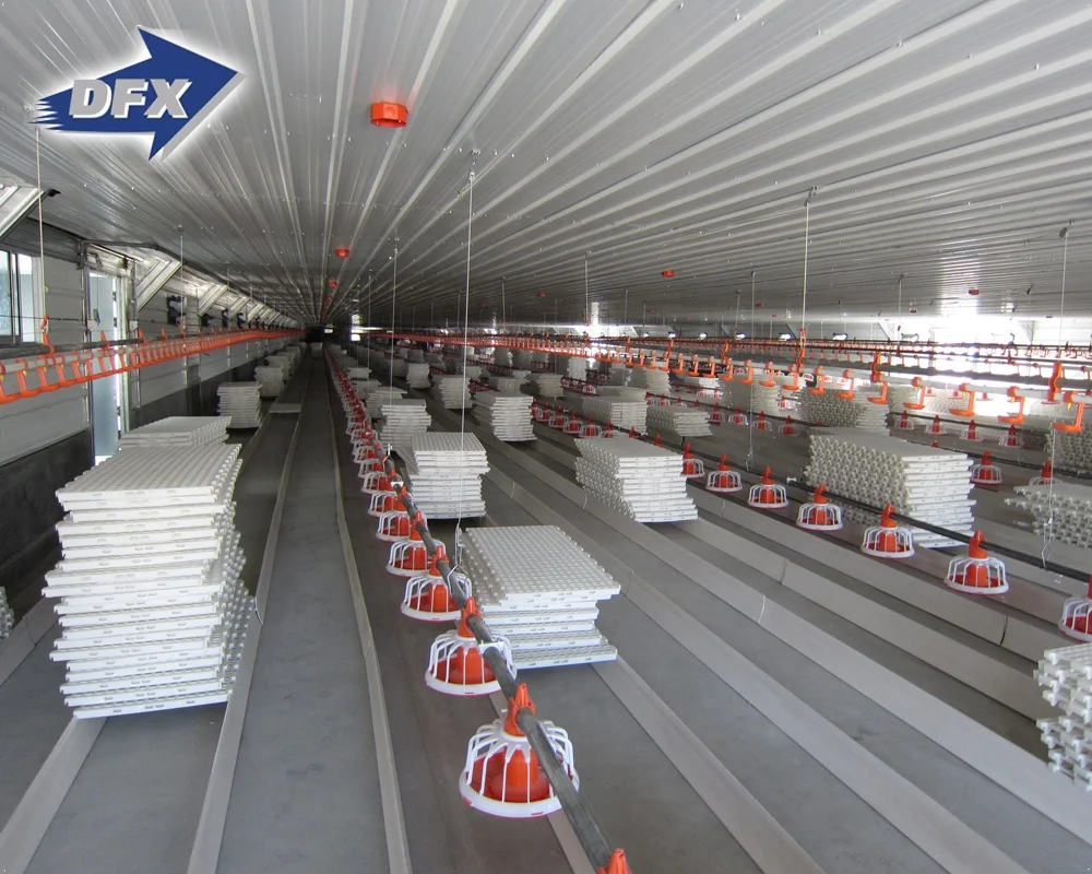 Prefabricated Insulated Steel Structure Cowshed Stable Barn Chicken House from Qingdao China