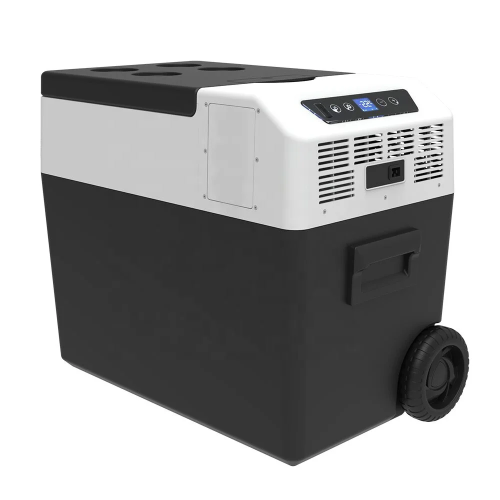 FC40 Hot sale portable outdoor fridge 12v/24v car cooler box electric camping Travel Makeup Refrigerator Drink Bar Car Fridge