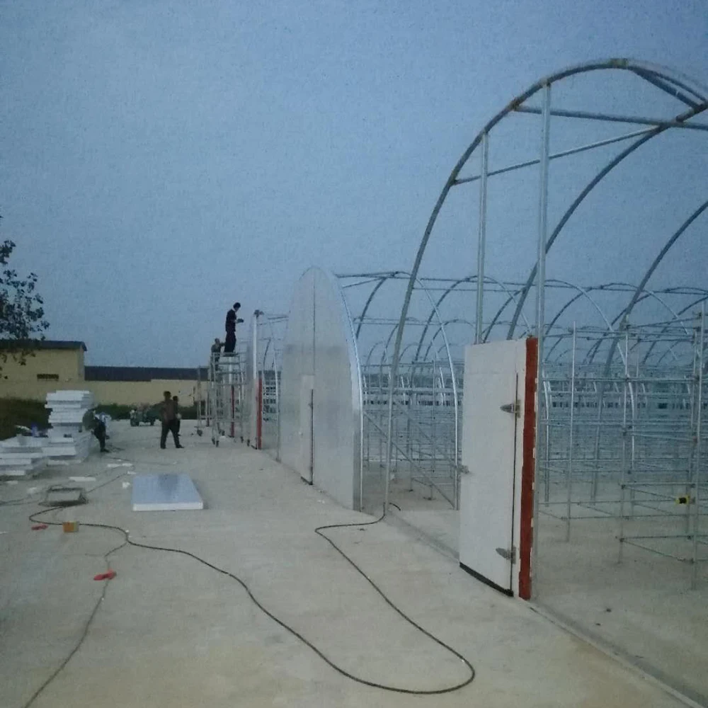 Agricultural mushroom greenhouse mushroom grow house crystal mushroom house