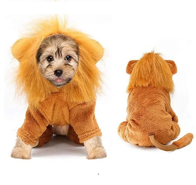 Pet Halloween Costume Lion Costumes For Dogs