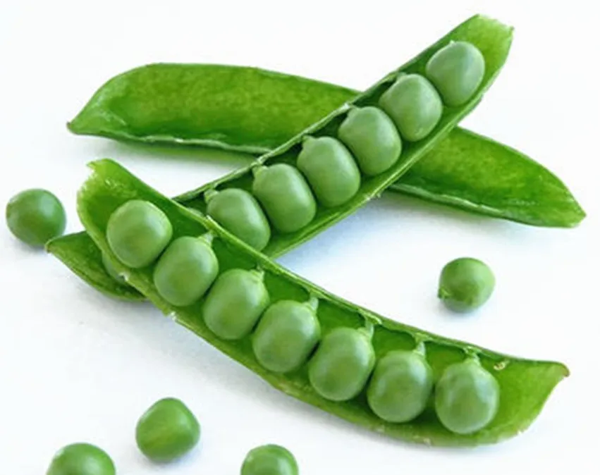 
professional hot selling china good price china frozen green peas 
