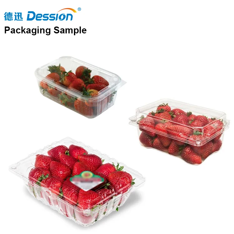 In Stock Fresh Fruit Clamshell Filling Machine Cherry Tray Filling Machine Strawberry Grape Tray Filling Packing Machine