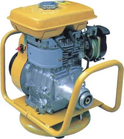 Guangzhou Manufacturer Gasoline Engine Concrete Vibrator With Robin Engine/Lifan Engine