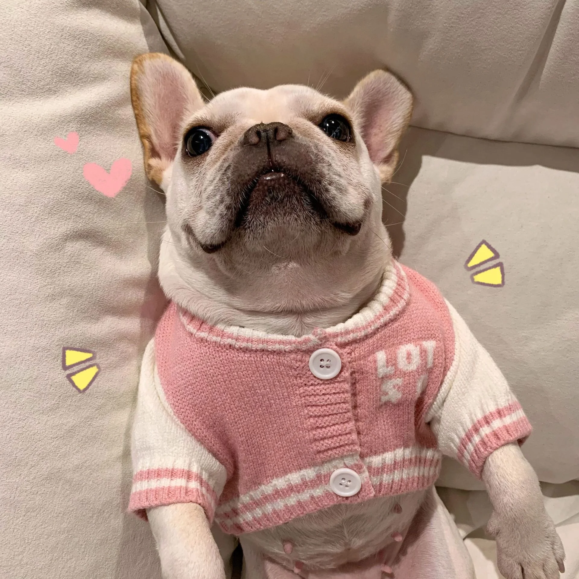 Japan And Korea Popular Cartoon Dog DKNY Jeans Super Cute Pink Bear Pet Sweater Coat