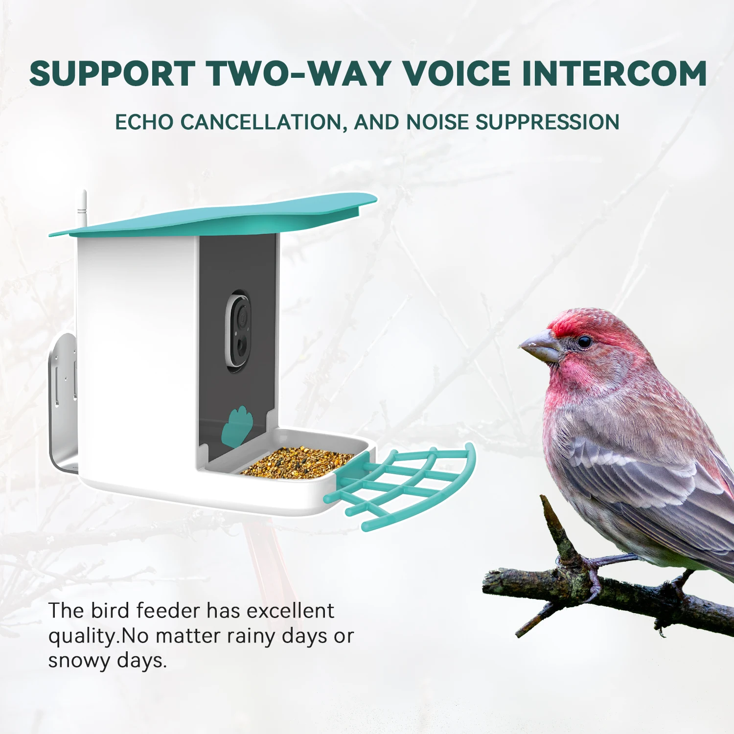 Wireless Outdoor Automatic Bird Video Recording Hummingbird Feeders for bird  lovers