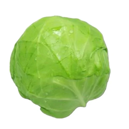 
High quality fresh cabbage round green Beijing cabbage delicious farm cabbages 