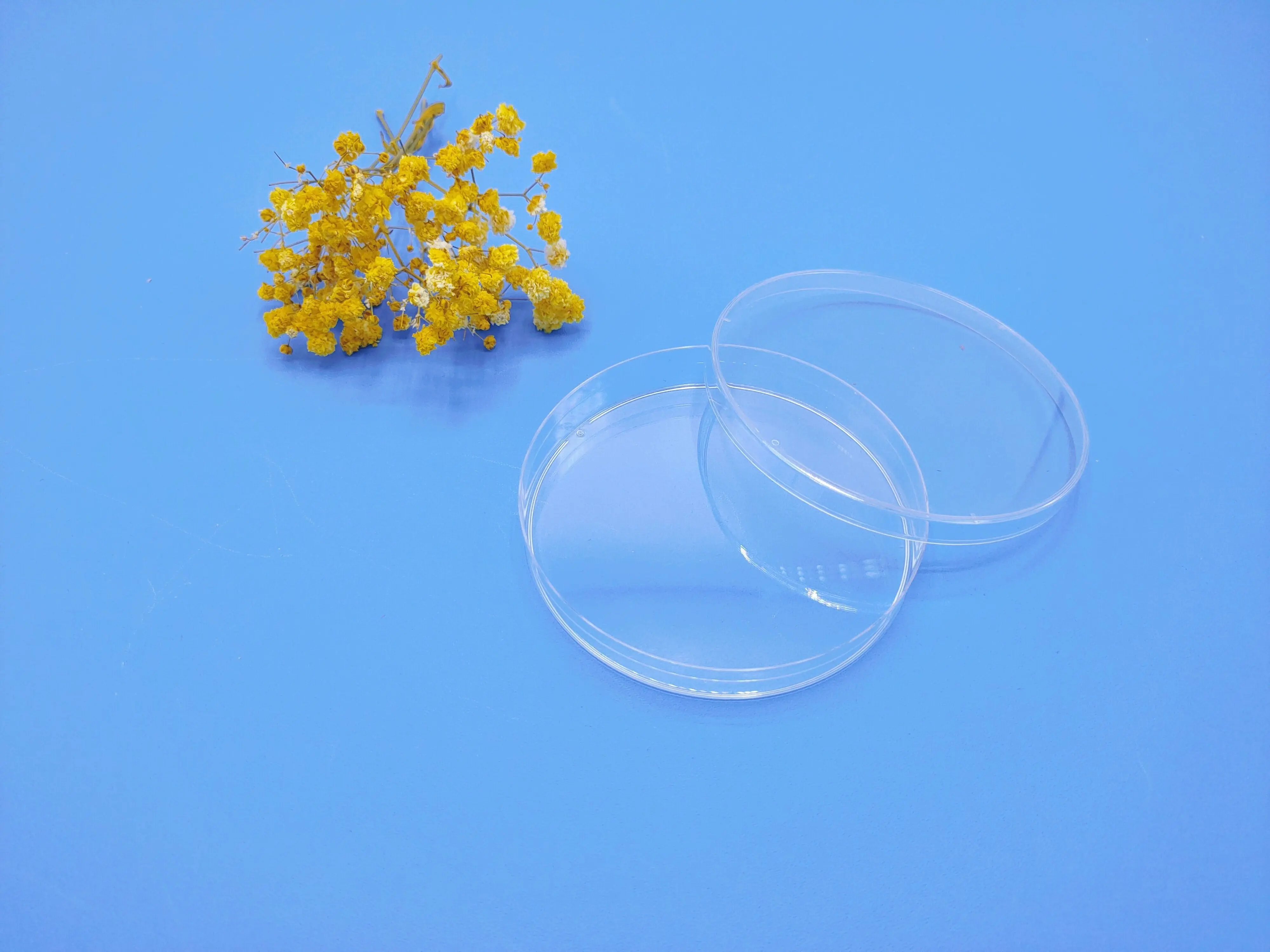 Custom wholesale fungus Petri dish plastic three-chamber petri dish