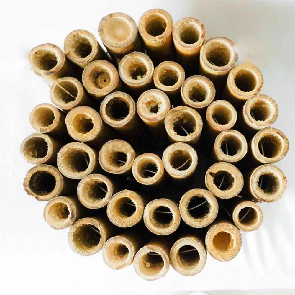 Nature garden bamboo stick for fence rolled bamboo wood reed fence panels for sale bamboo fence rolls