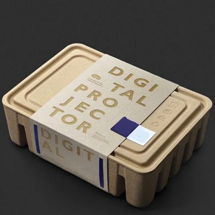 Disposable recyclable sustainable eco mold pulp box packaging shipping box