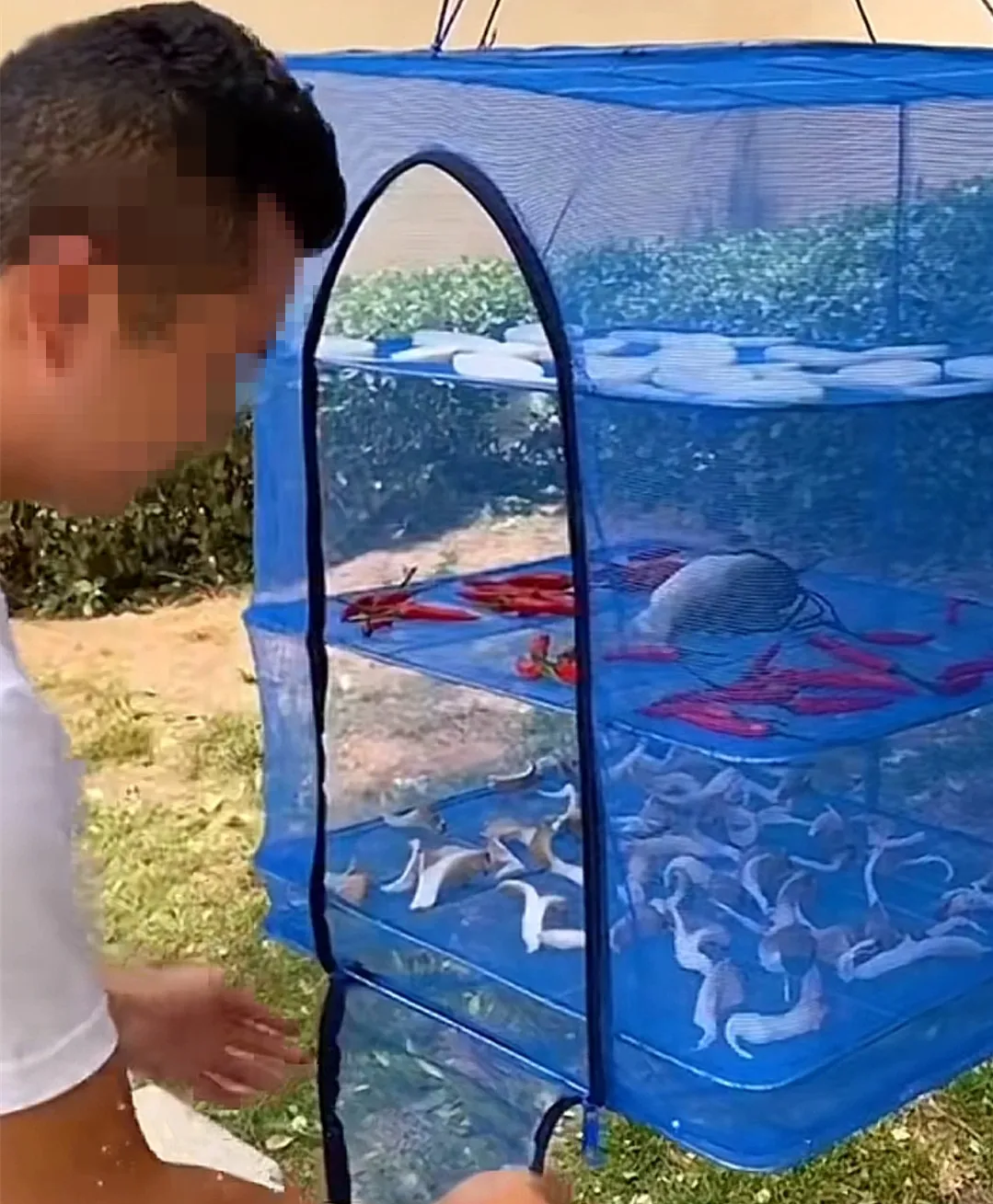 Foldable Nylon netting hanging drying fishing net Herb Vegetables and Fruit Hanging Food Fishing Drying Mesh