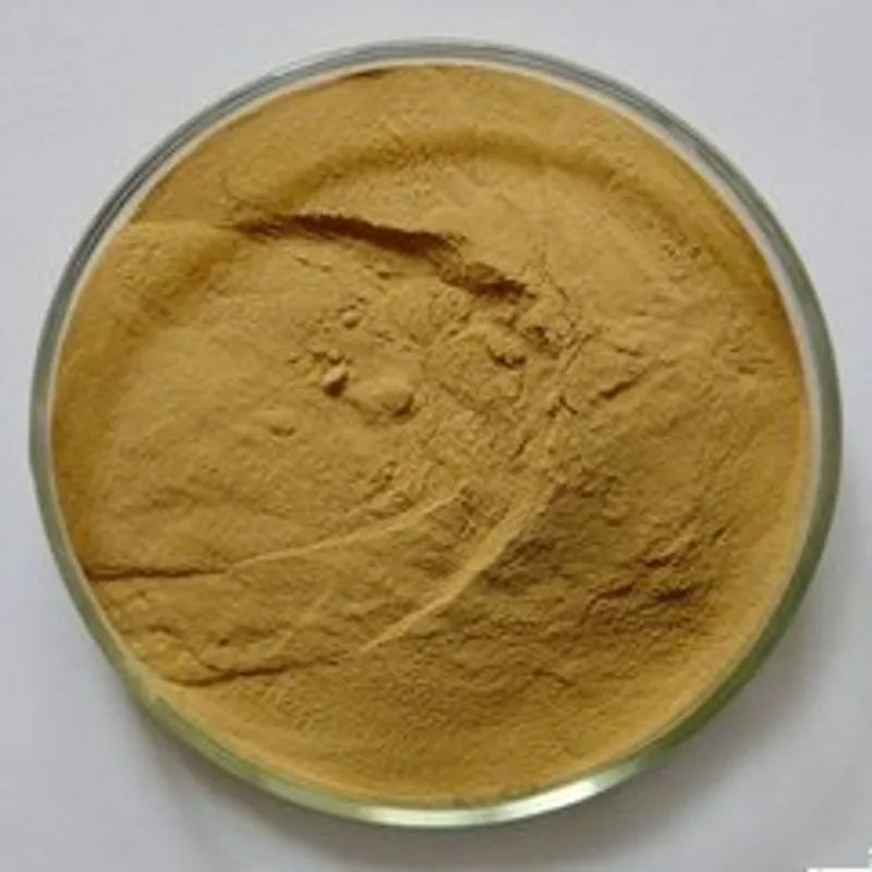 Aloin Manufacturer Supply 100% Aloe Vera Extract Aloe Vera Extract Powder/plant extract