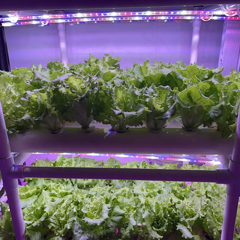 108 Holes Commercial Hydroponic Systems Greenhouse For Sale