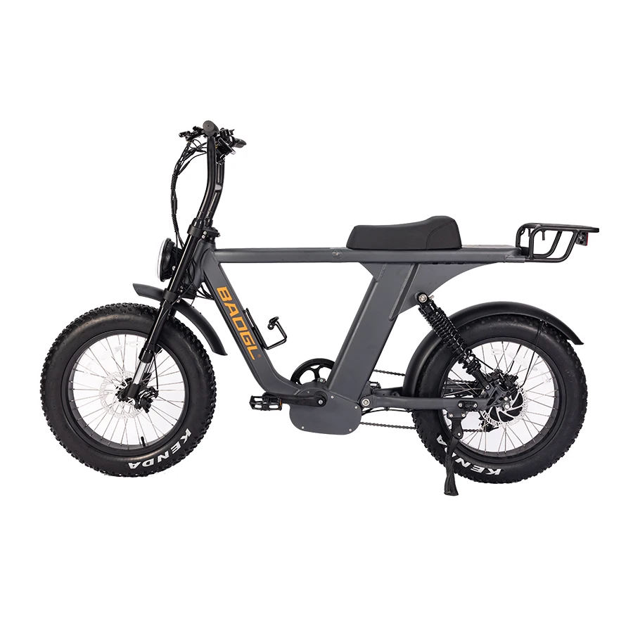 20 inch 48V750W powerful motor 15AH Lithium Battery  long saddle fatbike enduro ebike motorized bicycle