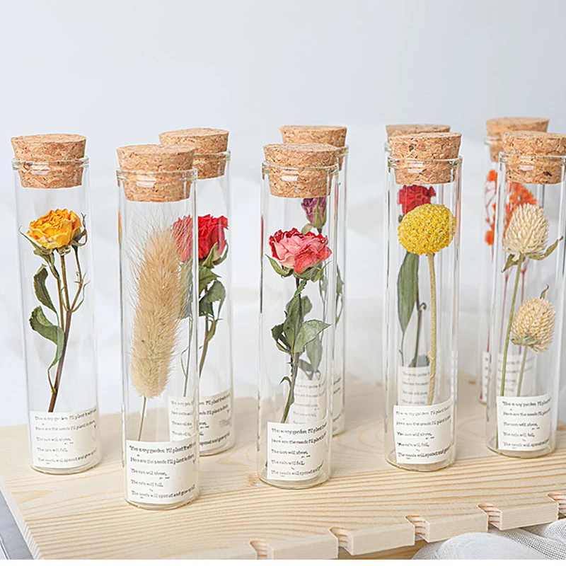 Wholesale Customized Holiday Gift Table Decoration Natural Real Drid Flowers in Glass Tube