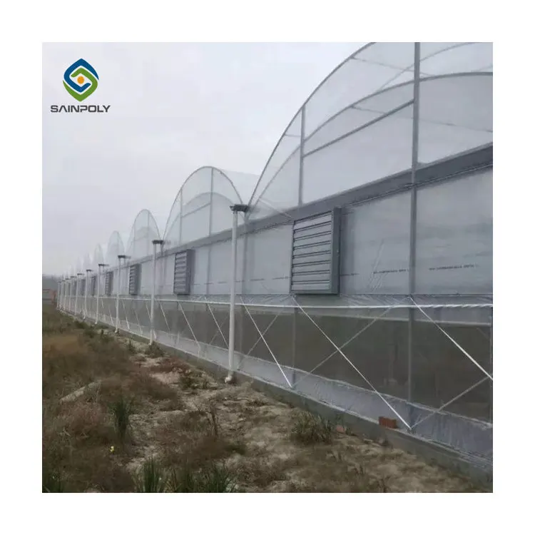 Multi-span agricultural plastic products plastic shed film green houses greenhouse with hydroponic growing systems