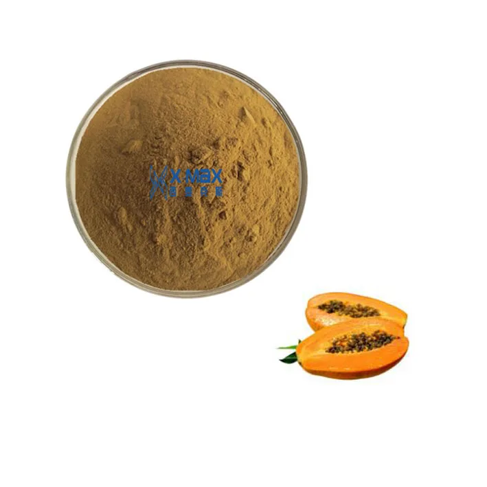 
Free sample Pawpaw Extract Pawpaw Fruit Powder Instant Dry Papaya Powder 