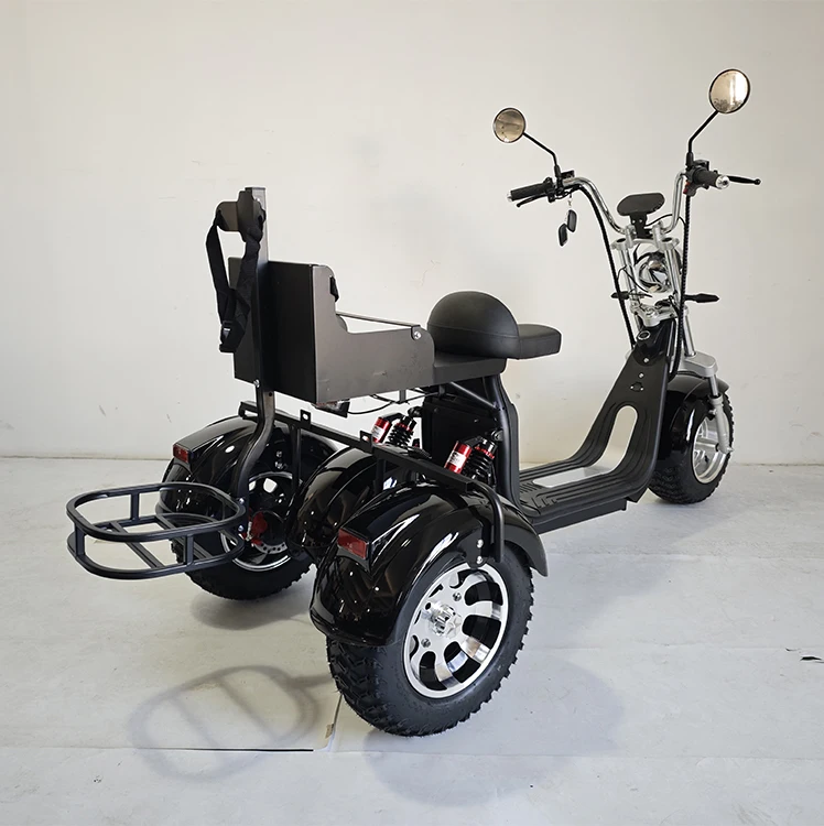 US/EU warehouse Elderly Scooter Motorcycle Adult Electric Tricycle For Passenger Transport 3 Wheel Golf Scooters off road tires