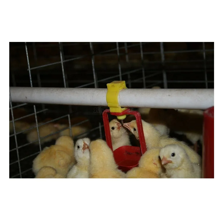 Nipple Drinker Chicken Poultry Water Metal Feeder