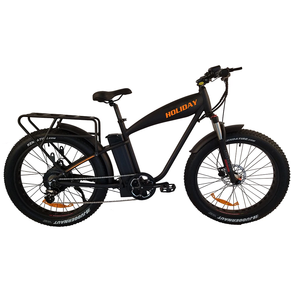 Eshion Hengtai Rear Drive Motor Electric Bike 48V 1000W Aluminum Frame Electric Fat Bicycle Professional e Bike