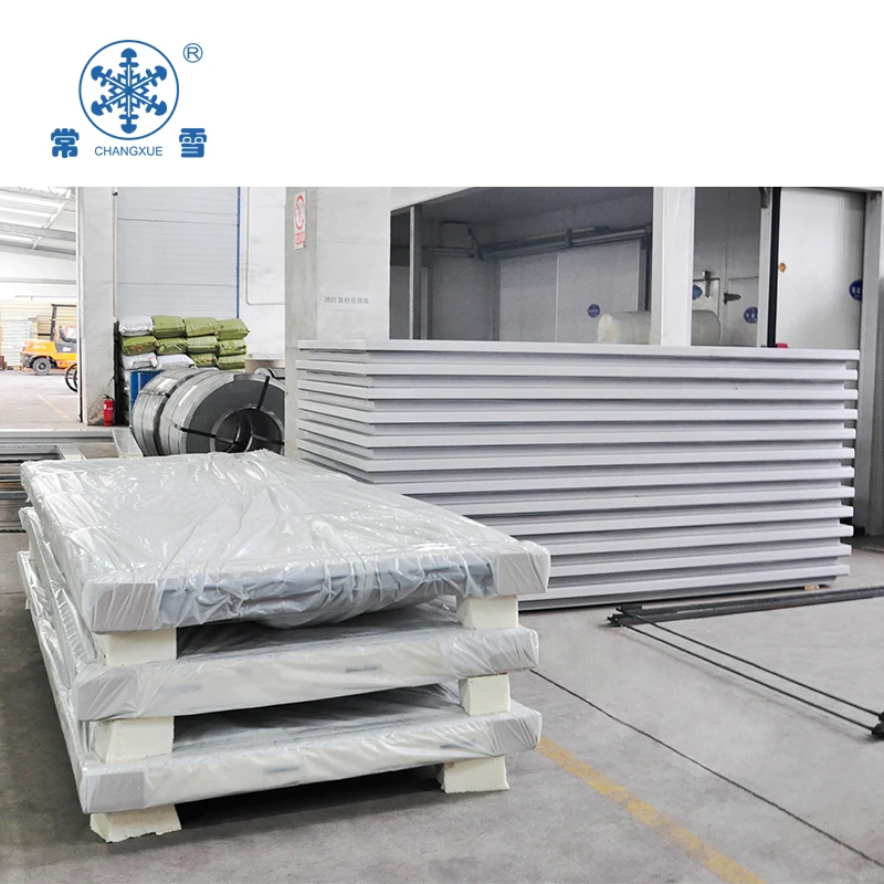 2022 Fresh keeping coolroom freezer with panel sandwich