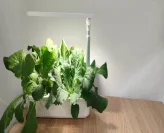 Indoor small home hydroponic planter intelligent screen plant growth light Smart plant light Home intelligent planting machine