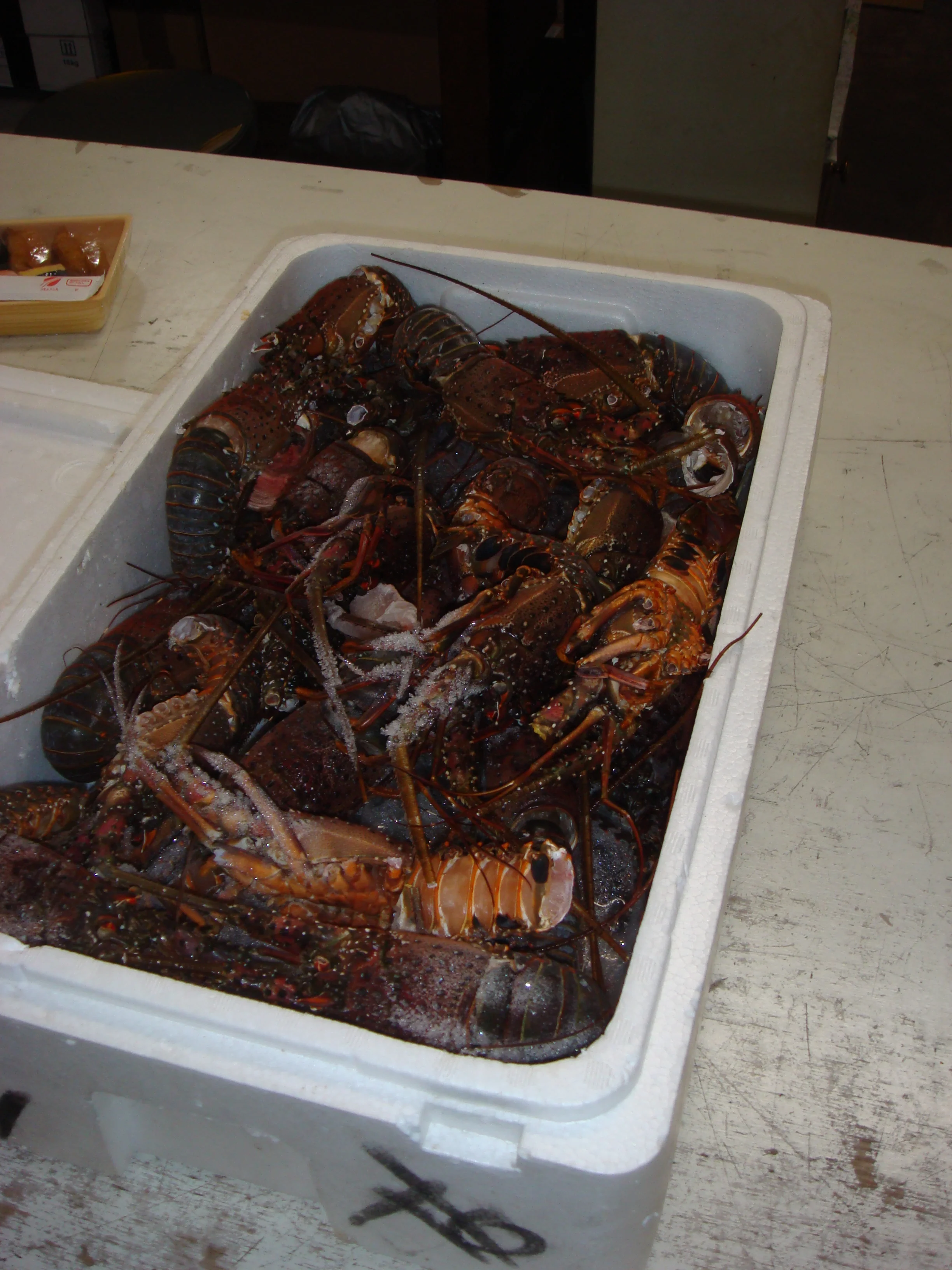 
Japanese mie prefecture safe and secure seafood meat frozen lobster 