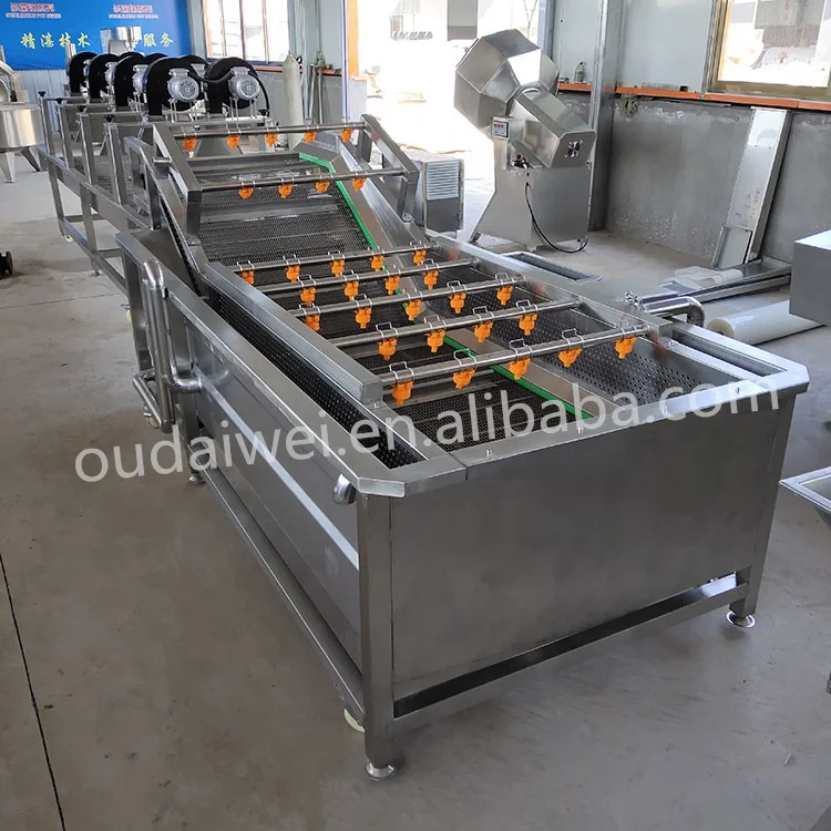 Automatic Industrial Bubble Coriander Squid Fruit Coconut Roller Large Scale Clean Wash Machine For Brush