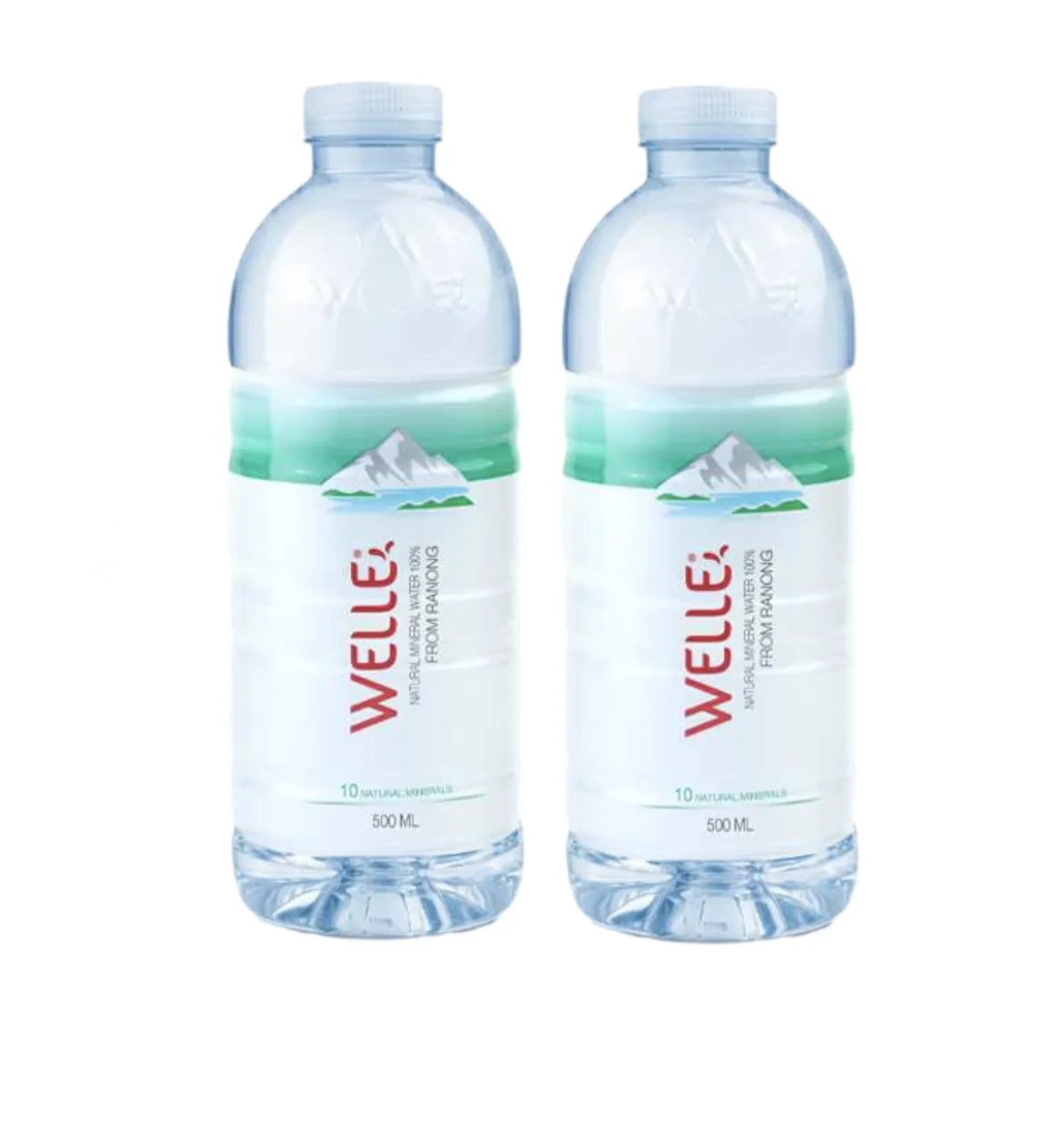 Welle Mineral Water 500 ml. in PET Bottle Premium Drinking Water Refreshing Manufacturers Water Drinking For Exporting